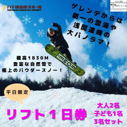 【ふるさと納税】2024-2025シーズン　八千穂高原スキー場　平日限定　 リフト1日券　（大人2名・子ども1名）3名セット〔AD-03〕