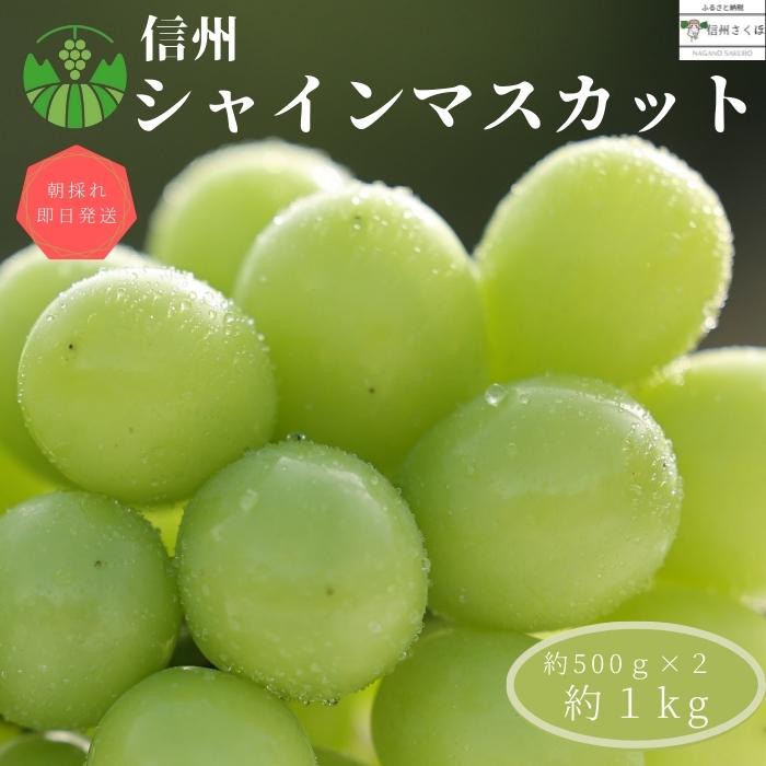 長野県佐久穂町のふるさと納税返礼品