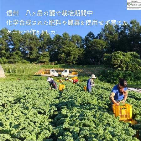 【ふるさと納税】子どもが美味しく食べるケールで作った　無農薬　ケールパウダー　50g×3袋 [MK-102]