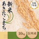 【ふるさと納税】【先行予約】いでさん家の令和7年 あきたこまち 白米 10kg〔ID-101〕