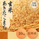 【ふるさと納税】【先行予約】いでさん家の令和7年 あきたこまち 玄米 10kg〔ID-102〕