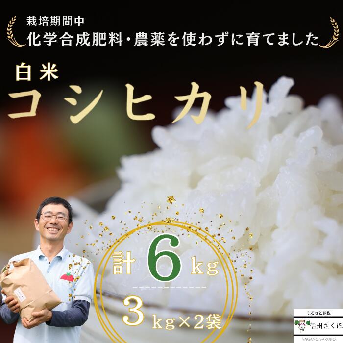 炊きあがりのつやと香りが良く、うま味も強い コシヒカリ 白米6kg 佐久穂とさや農園〔ST-W3-2〕