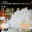 5位! 口コミ数「0件」評価「0」定期便　米　20キロ　炊きあがりのつやと香りが良く、うま味も強い　コシヒカリ　佐久穂とさや農園〔ST-W5-2-T2〕5キロ×2袋　2カ月　･･･ 