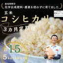 【ふるさと納税】定期便　玄米　15キロ　炊きあがりのつやと香りが良く、うま味も強い　コシヒカリ　佐久穂とさや農園〔ST-B5-1-T3〕5キロ×1袋　3カ月　計15キロ