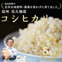 【ふるさと納税】炊きあがりのつやと香りが良く、うま味も強い　コシヒカリ　玄米5kg　佐久穂とさや農園〔ST-B5-1〕