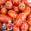 【ふるさと納税】定期便4回 こさゆと農園の高糖度フルーツトマト 計4キロ 朝採れ ミニトマト 完熟 ヘタなしトマト〔KY-01-4〕(4)