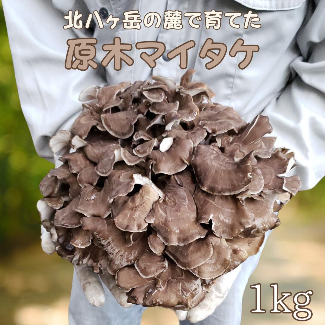 【ふるさと納税】【先行受付・2026年発送】北八ヶ岳の麓で育てた　原木マイタケ　約1kg [SMZK-101]