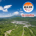 【ふるさと納税】ふるさと納税　長野県軽井沢町の対象施設で使える 楽天トラベルクーポン 寄付額100,000円(クーポン30,000円)　【高級宿・宿泊券・旅行】