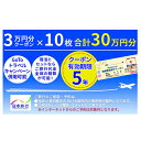 長野の旅行券（宿泊券） 【ふるさと納税】日本旅行　地域限定旅行クーポン【300,000円分】　【 旅行 チケット 宿泊券 家族 友人 恋人 休息 リフレッシュ 】