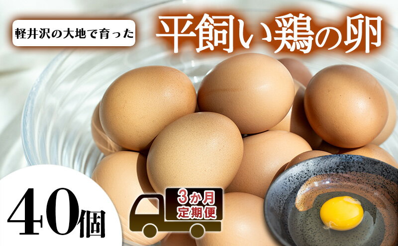 【ふるさと納税】卵40個　3か月定期便