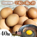 【ふるさと納税】卵40個 3か月定期便