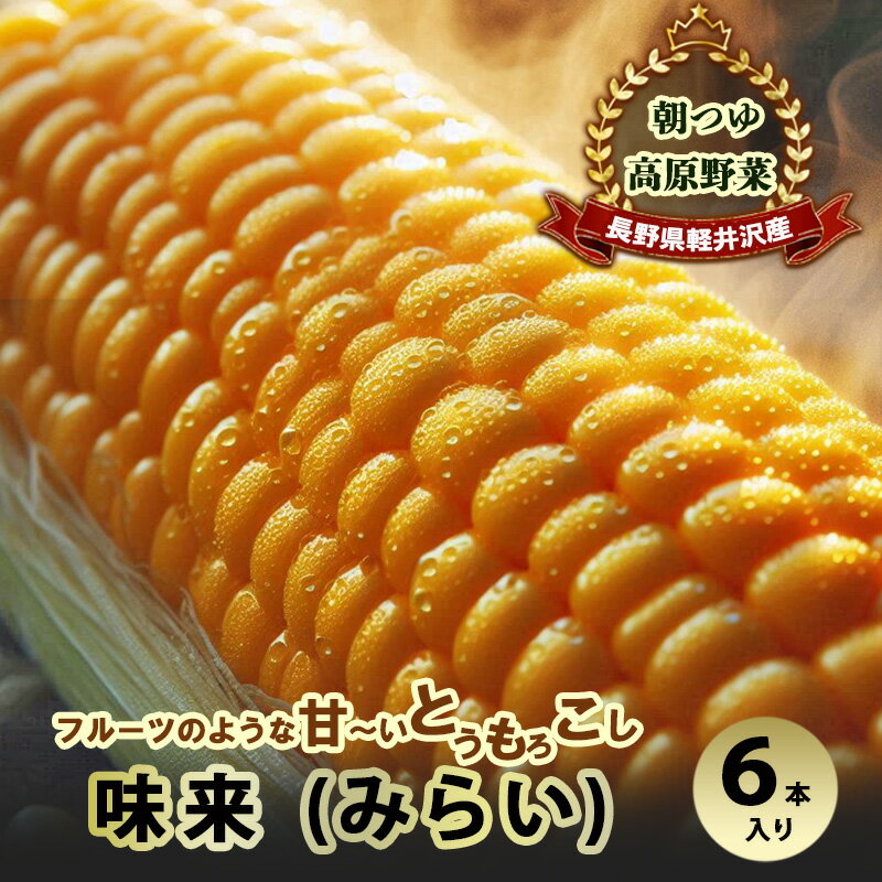 【ふるさと納税】長野県軽井沢産 朝つゆ高原野菜 フルーツのような甘～いとうもろこし味来(みらい) 6本入り トウモロコシ もろこし スイートコーン 長野 軽井沢町 軽井沢　お届け：2024年8月上旬～9月下旬のサムネイル