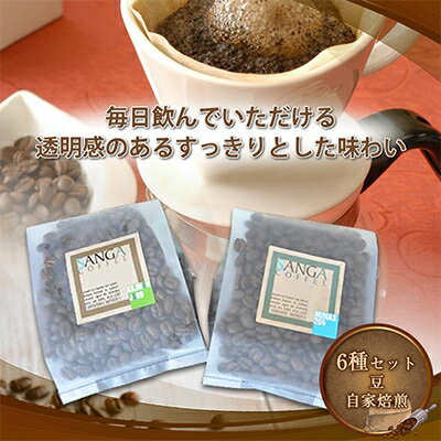 サンガコーヒー[豆]100g×6種