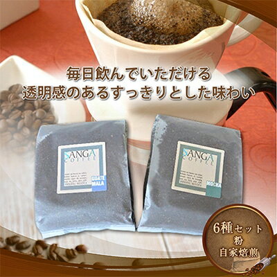 サンガコーヒー[粉]100g×6種