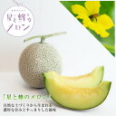 【ふるさと納税】【令和7年度産先行予約】星と蜂のメロン Lサイズ2玉【配送不可地域:離島】【1099062】