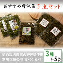 【ふるさと納税】くるまやおすすめ野沢菜5点セット【 漬物 野沢菜漬け 惣菜 お土産 信州 長野 】【1112564】