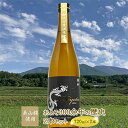 【ふるさと納税】【R6年度仕込み新酒】寒竹Miyota 特別純米酒2本ギフトセット【1275624】