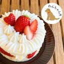 【ふるさと納税】愛犬用 完熟いちごネイキッドケーキ Mサイズ 1個【配送不可地域:離島】【1591177】