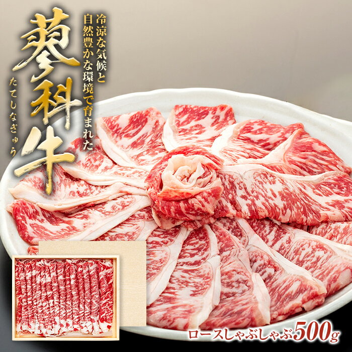 【ふるさと納税】 蓼科牛ロースしゃぶしゃぶ 500g×1パック | 国産 肉 牛肉 牛 お肉 しゃぶしゃぶ ロー...