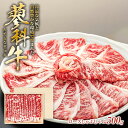 【ふるさと納税】 蓼科牛ロースしゃぶしゃぶ 500g 1パック | 国産 肉 牛肉 牛 お肉 しゃぶしゃぶ ロース お取り寄せ グルメ 蓼科牛 ふるさと 特産品 信州 長野県 立科町 蓼科