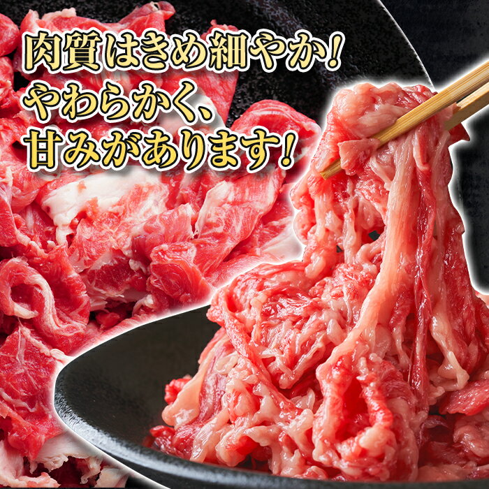 【ふるさと納税】 蓼科牛切落し400g×3 | 国産 肉 牛肉 牛 お肉 切り落とし お取り寄せ グルメ 蓼科牛 ふるさと 信州 長野県 立科町 蓼科