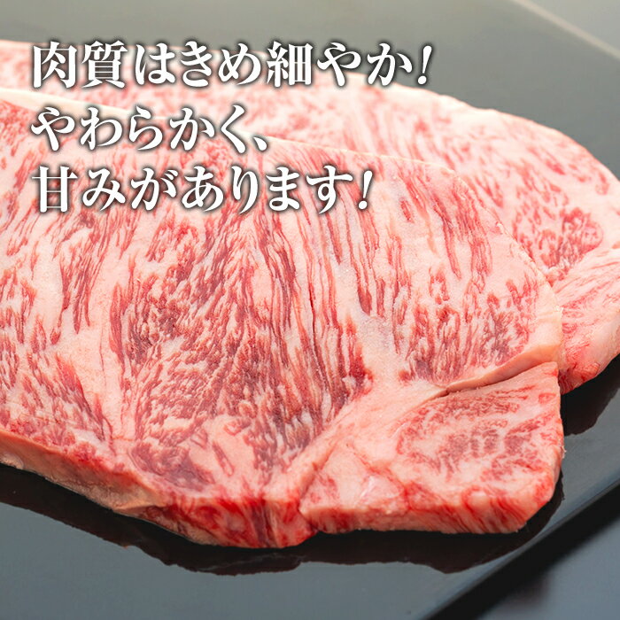 【ふるさと納税】 蓼科牛サーロインステーキ 200g×2パック | 国産 肉 牛肉 牛 お肉 ステーキ サーロイン お取り寄せ グルメ 蓼科牛 ふるさと 特産品 信州 長野県 立科町 蓼科