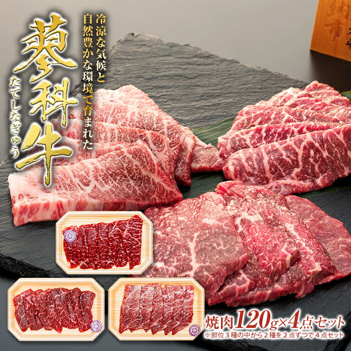 蓼科牛焼肉120g× 4パック | 国産 肉 牛肉 牛 お肉 焼肉 セット 食べ比べ モモ バラ ウデ BBQ バーベキュー お取り寄せ グルメ 蓼科牛 ふるさと 信州 長野県 立科町 蓼科