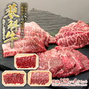 【ふるさと納税】 蓼科牛焼肉120g 4パック | 国産 肉 牛肉 牛 お肉 焼肉 セット 食べ比べ モモ バラ ウデ BBQ バーベキュー お取り寄せ グルメ 蓼科牛 ふるさと 信州 長野県 立科町 蓼科