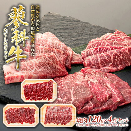 蓼科牛焼肉120g× 4パック | 国産 肉 牛肉 牛 お肉 焼肉 セット 食べ比べ モモ バラ ウデ BBQ バーベキュー お取り寄せ グルメ 蓼科牛 ふるさと 信州 長野県 立科町 蓼科