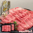 【ふるさと納税】 蓼科牛モモ焼肉 350g 2パック | 国産 肉 牛肉 牛 お肉 焼肉 焼き肉 モモ BBQ バーベキュー お取り寄せ グルメ 蓼科牛 ふるさと 信州 長野県 立科町 蓼科