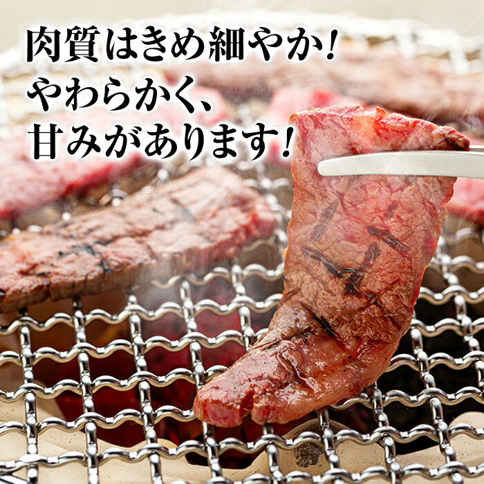 【ふるさと納税】 蓼科牛バラ焼肉 400g×2パック | 国産 肉 牛肉 牛 お肉 焼肉 焼き肉 バラ肉 BBQ バーベキュー お取り寄せ グルメ 蓼科牛 ふるさと 信州 長野県 立科町 蓼科