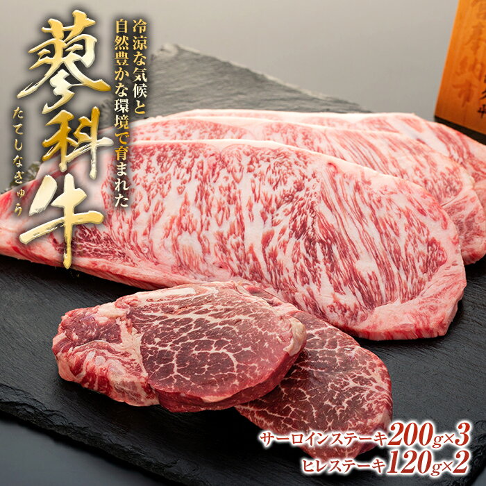 蓼科牛サーロインステーキ200g×3パック、ヒレステーキ120g×2パック | 国産 肉 牛肉 牛 お肉 ステーキ サーロイン ヒレ セット サーロインステーキ ヒレステーキ お取り寄せ グルメ 蓼科牛 ふるさと 信州 長野県 立科町 蓼科