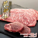 【ふるさと納税】 蓼科牛サーロインステーキ200g 3パック ヒレステーキ120g 2パック | 国産 肉 牛肉 牛 お肉 ステーキ サーロイン ヒレ セット サーロインステーキ ヒレステーキ お取り寄せ グ…