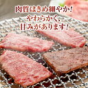 【ふるさと納税】 蓼科牛リブロース焼肉 400g×2パック | 国産 肉 牛肉 牛 お肉 焼肉 焼き肉 ロース BBQ バーベキュー お取り寄せ グルメ 蓼科牛 ふるさと 信州 長野県 立科町 蓼科 2