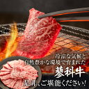 【ふるさと納税】 蓼科牛リブロース焼肉 400g×2パック | 国産 肉 牛肉 牛 お肉 焼肉 焼き肉 ロース BBQ バーベキュー お取り寄せ グルメ 蓼科牛 ふるさと 信州 長野県 立科町 蓼科 3