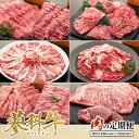 【ふるさと納税】 肉の定期便　蓼科牛を隔月（偶数月）に6回お届け | 国産 肉 牛肉 牛 焼肉 焼き肉 しゃぶしゃぶ すき焼き ステーキ ロース モモ ウデ バラ 切り落とし サーロイン ヒレ 定期便 BBQ バーベキュー お取り寄せ グルメ 蓼科牛 ふるさと 信州 長野県 立科町 蓼科