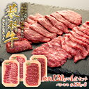 【ふるさと納税】蓼科牛 焼肉120g×4パック(バラ・モモ各2パック) | 国産 肉 牛肉 牛 お肉 焼肉 セット 食べ比べ モモ バラ BBQ バーベキュー お取り寄せ グルメ 蓼科牛 ふるさと 信州 長野県 立科町 蓼科