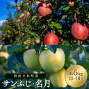 【ふるさと納税】サンふじ・ぐんま名月ミックス(約5kg、優13〜18玉)| 果物 フルーツ りんご サンふじ ぐんま名月 ふるさと 信州 長野県 立科町 蓼科