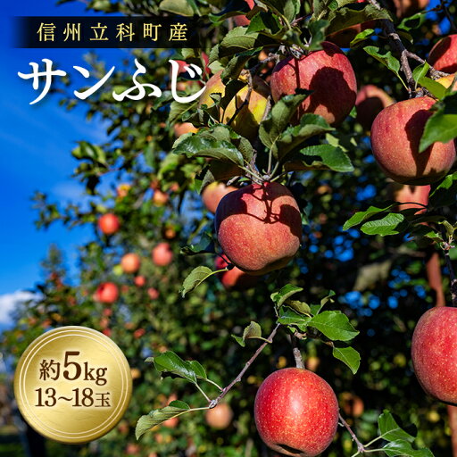 【ふるさと納税】サンふじ(約5kg、優13~18玉)| 果物 フルーツ りんご サンふじ 信州 立科町 【ふるさと納税】サンふじ(約5kg、優13~18玉)| 果物 フルーツ りんご サンふじ 信州 立科町