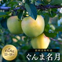 【ふるさと納税】ぐんま名月(約5kg、優13~18玉)| 果物 フルーツ りんご ぐんま名月 信州 立科町