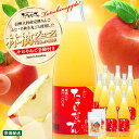 【ふるさと納税】 果肉入り林檎ジュース11本・おつまみセット | 国産 果汁100% ジュース ドライフルーツ りんご リンゴ 林檎 ふじ りんごジュース 果肉...
