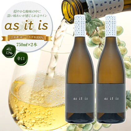 ワイン(as it is)2本セット | 白ワイン シャルドネ お酒 アルコール 白 ワイン 辛口 セット 果実酒 国産 ふるさと 信州 長野県 立科町 蓼科