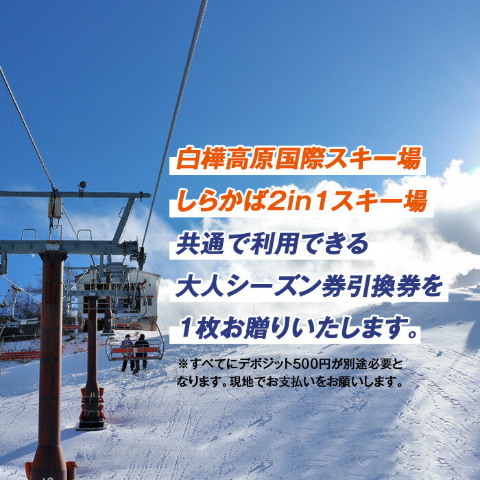 【ふるさと納税】 白樺高原国際スキー場・しらかば2in1スキー場大人共通シーズン券 | スキー場 リフト券 シーズン券 旅行 観光 立科町 白樺高原国際スキー場 しらかば2in1スキー場その2