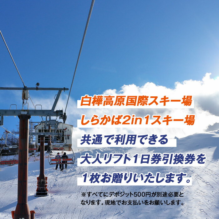 【ふるさと納税】 白樺高原国際スキー場・しらかば2in1スキー場大人共通リフト1日券 | スキー場 リフト券 旅行 観光 立科町その2
