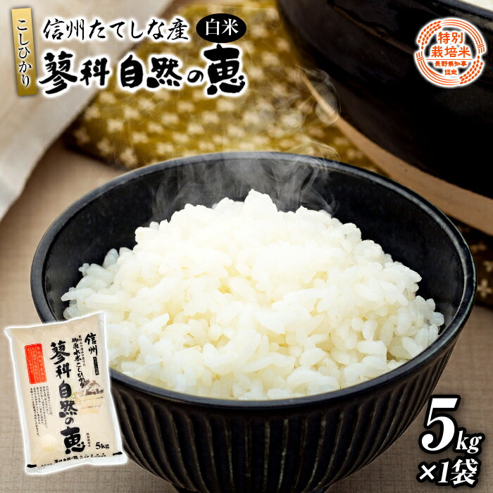 7位! 口コミ数「0件」評価「0」 信州たてしな産 蓼科自然の恵(白米)5kg | こしひかり コシヒカリ お米 5kg 米 5キロ 白米 精米 ふるさと 信州 長野県 立科･･･ 