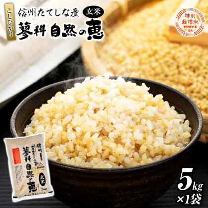 信州たてしな産 蓼科自然の恵(玄米)5kg | こしひかり コシヒカリ お米 5kg 玄米 5キロ 米 ふるさと 信州 長野県 立科町 蓼科