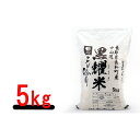 【ふるさと納税】信州長和町産　コシヒカリ5kg　【お米・精米