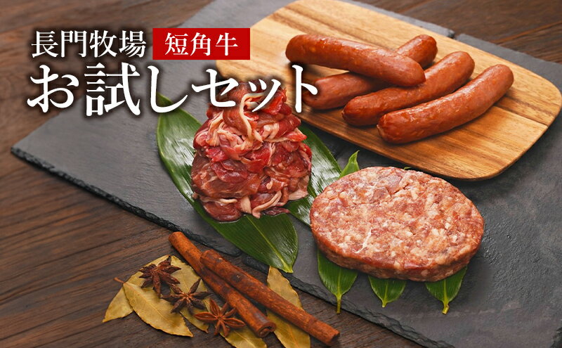 【ふるさと納税】長門牧場 短角牛 お試しセット　【 お肉 牛肉 希少 和牛 放牧 短角牛 赤身 旨み 切り落とし 国産 詰合せ 】