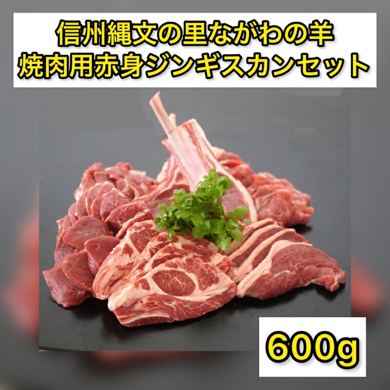 【ふるさと納税】信州縄文の里ながわの羊焼肉用赤身ジンギスカンセット600g　【 お肉 羊肉 ラム肉 希少..