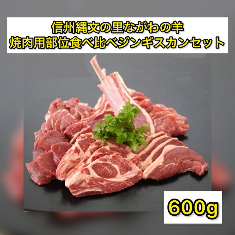 【ふるさと納税】信州縄文の里ながわの羊焼肉用部位食べ比べジンギスカンセット600g　【 お肉 羊肉 ラム肉 希少 国産 自然 放牧 信州サフォーク タレ 塩 ブラックペッパー シンプル おすすめ 】